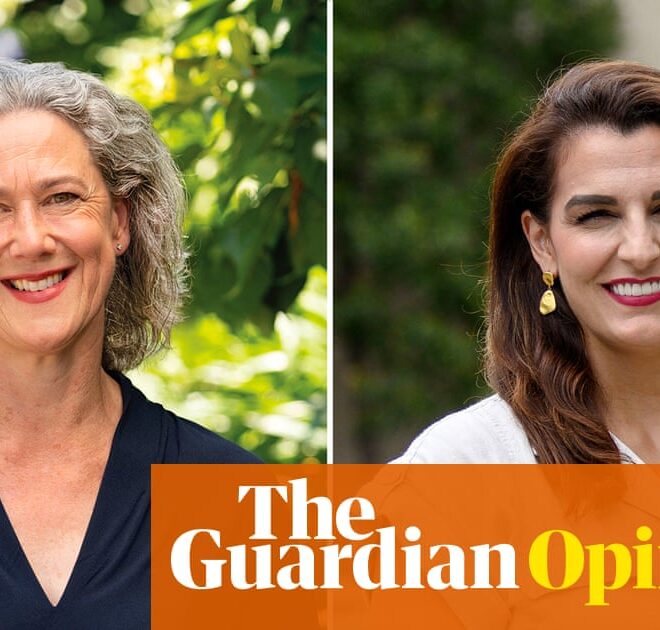 Decoding a voter’s poor handwriting is subjective – let’s enlist AI to help with the Bradfield recount | Simon Jackman