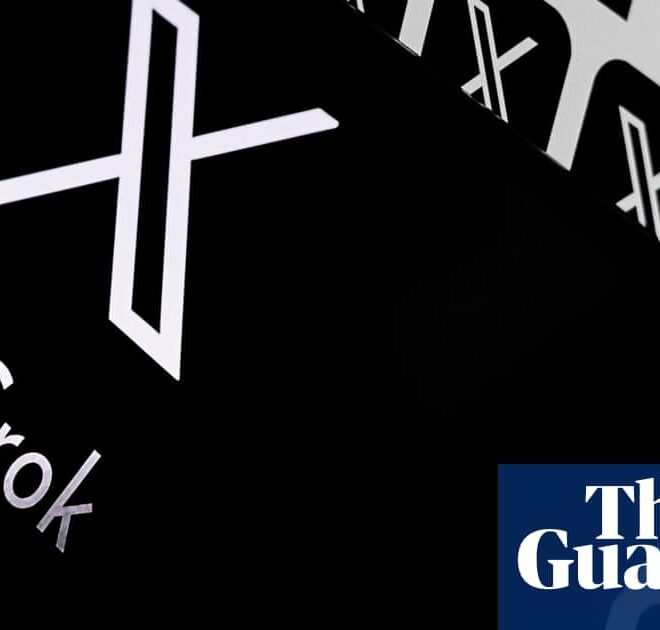 Musk’s Grok AI bot generates expletive-laden rants to questions on Polish politics | Artificial intelligence (AI)