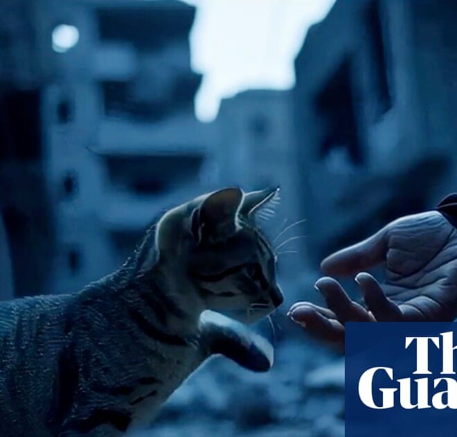 ‘You can make really good stuff – fast’: new AI tools a gamechanger for film-makers | Artificial intelligence (AI)