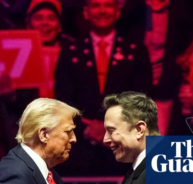 Does Elon Musk’s new political party need its own Donald Trump? | Technology