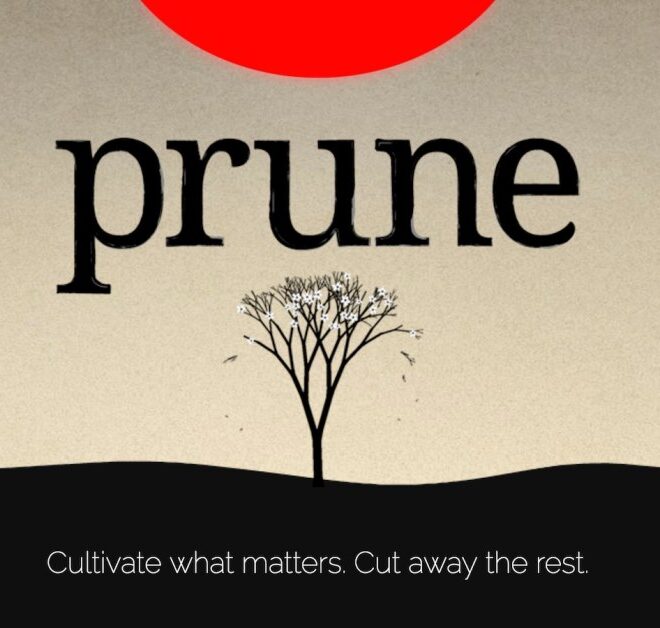 Today’s Android app deals and freebies: Dawncaster, Pocket Stables, Prune, more