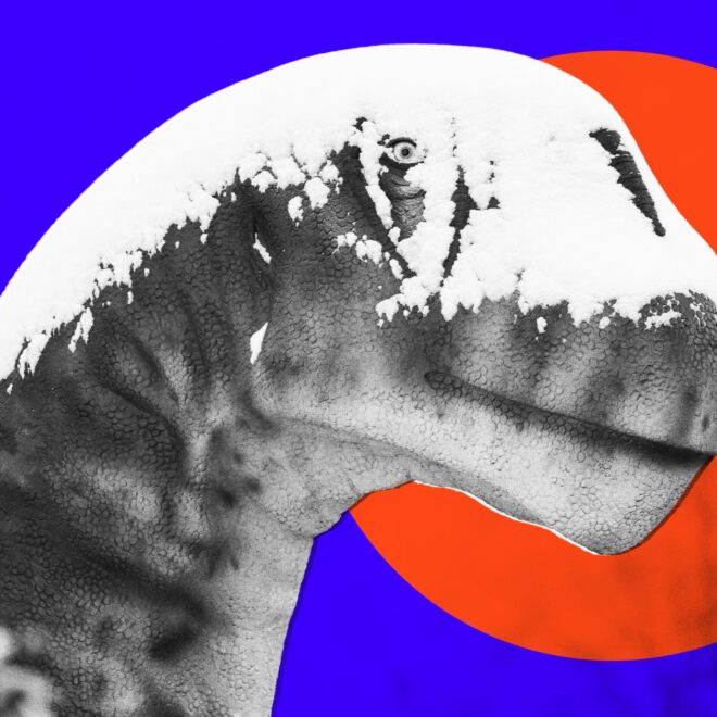 A Dinosaur Appears to Have Died on the Exact Spot They Later Built a Dinosaur Museum, Burying Its Fossil Underneath It