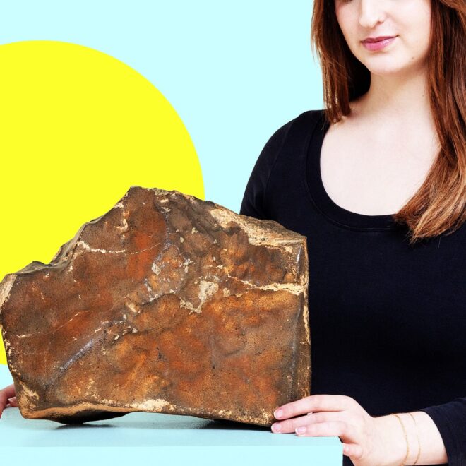 Scientists Saddened as World’s Largest Mars Rock Is Sold at Auction