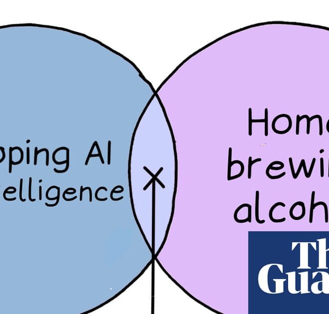 From AI superintelligence to home-brewed booze: Edith Pritchett’s week in Venn diagrams – cartoon