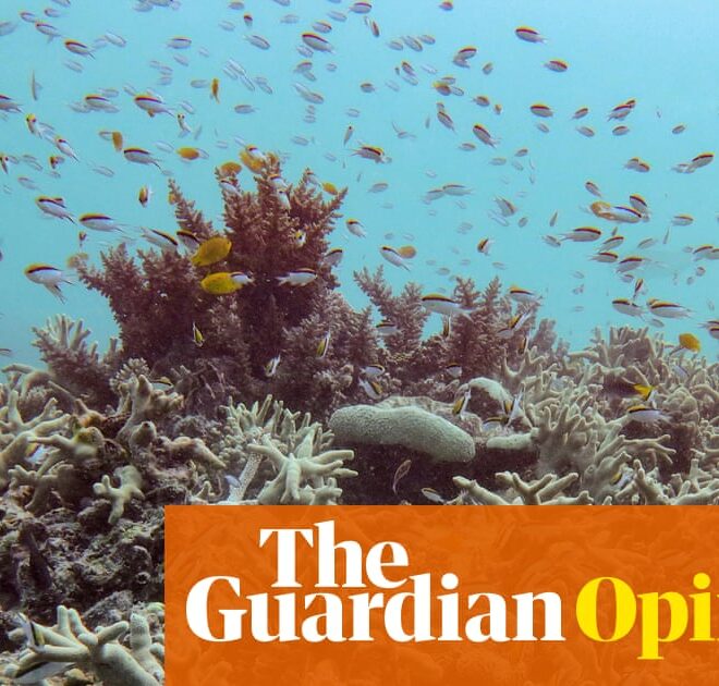 Pretty bloomin’ what? The Great Barrier Reef is a picture of health, The Australian assures us | Tory Shepherd