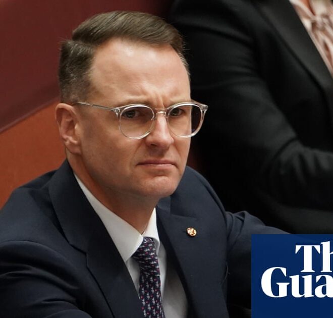 Labor under pressure on plans to regulate AI as Coalition accuses government of mixed messages | Australian politics