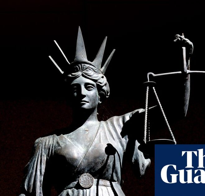 Judge criticises lawyers acting for boy accused of murder for filing misleading AI-created documents | Law (Australia)