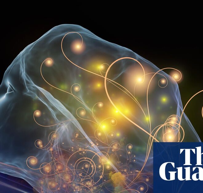Don’t let AIs fool you – they can’t ‘suffer’ | Artificial intelligence (AI)