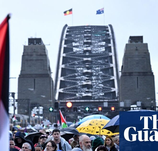 Guardian Essential poll: Australians split on recognising Palestine, many believe it would be purely symbolic | Essential poll