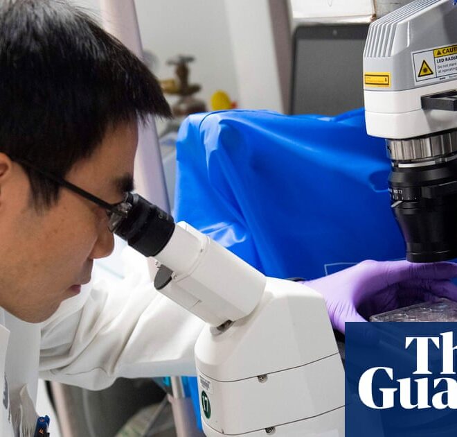 Trump cuts to science research threaten his administration’s own AI action plan | Trump administration