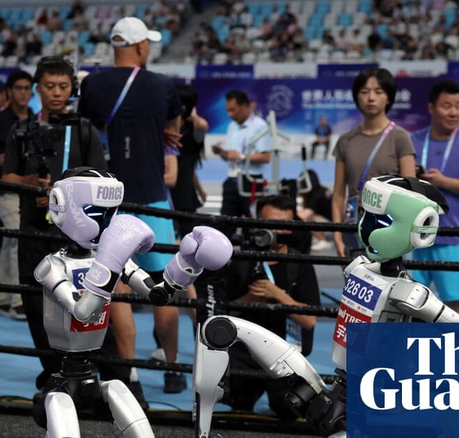 Box, run, crash: China’s humanoid robot games show advances and limitations | China