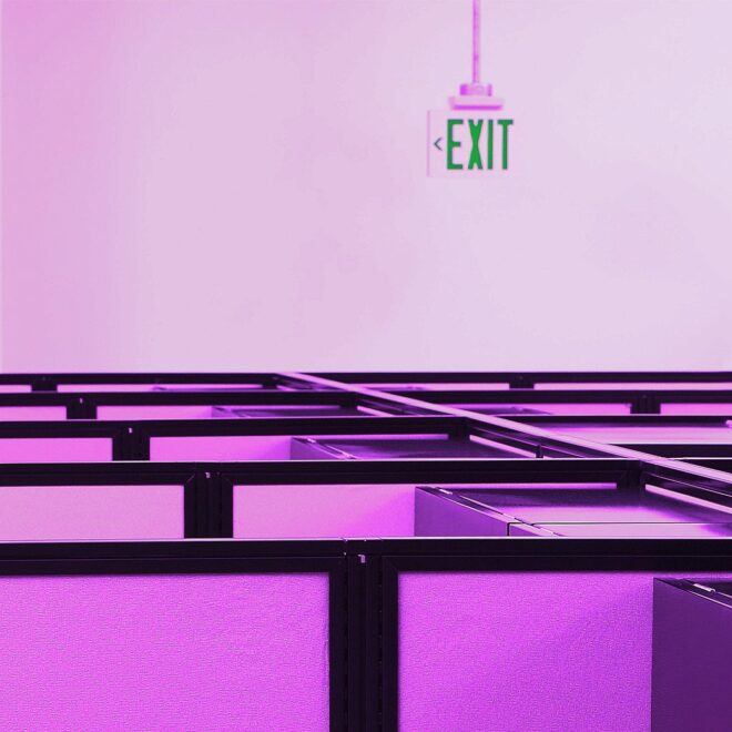 New Paper Finds Evidence That AI Is Already Killing the Job Market