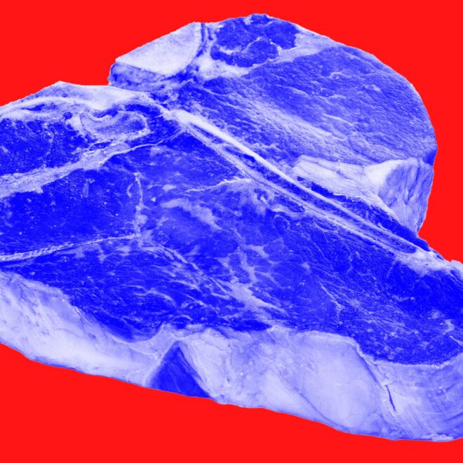 Hunter Alarmed to Cut Into Feral Hogs and Discover Blue Meat