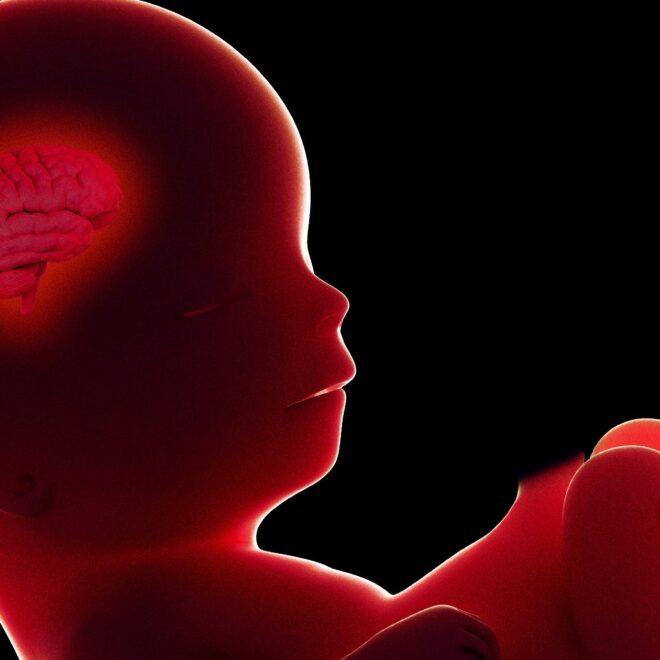 New IVF Startup Claims It Can Predict an Embryo’s IQ