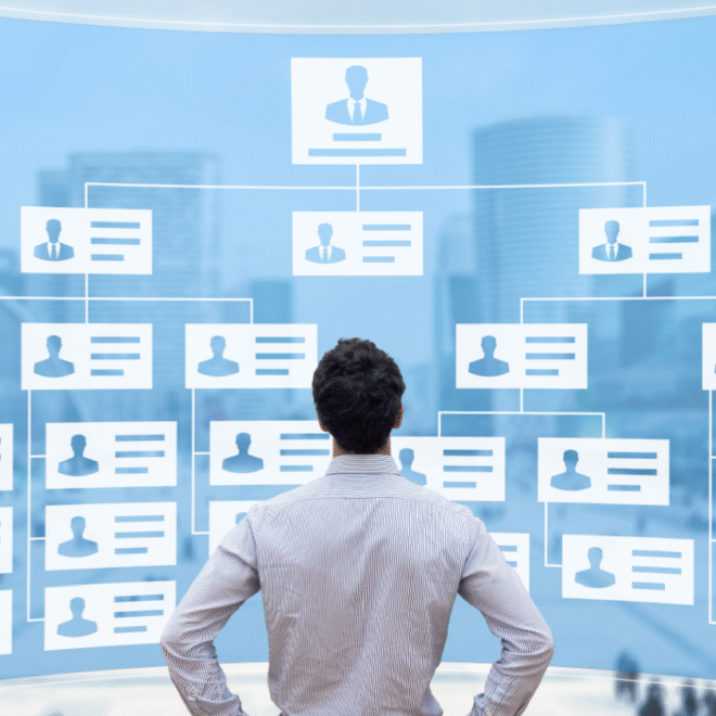 Effective SEO Organizational Structure For A Global Company