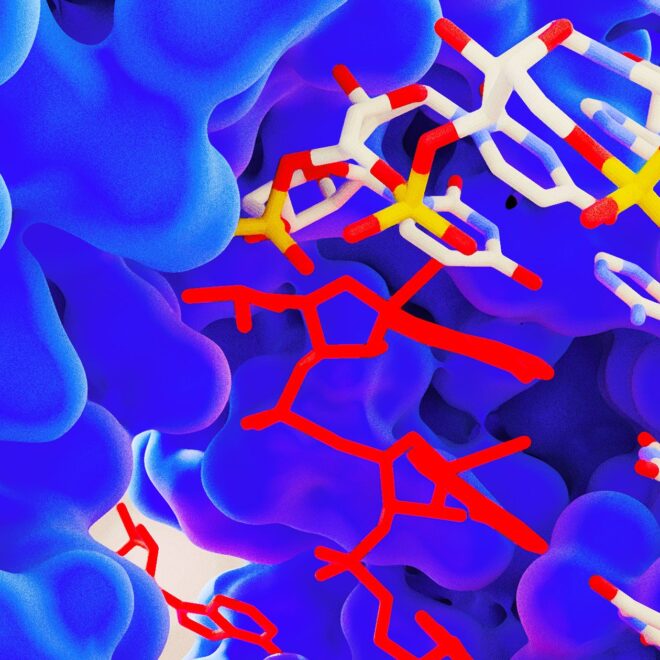 Scientists Create Ultimate Antiviral Using Rare “Superpower” Genetic Mutation