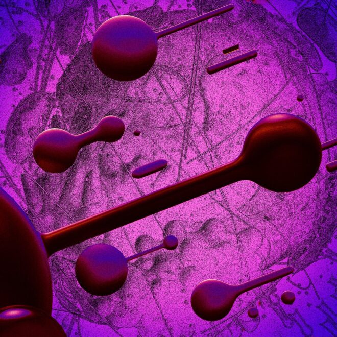 Scientists Say They May Have Just Figured Out the Origin of Life