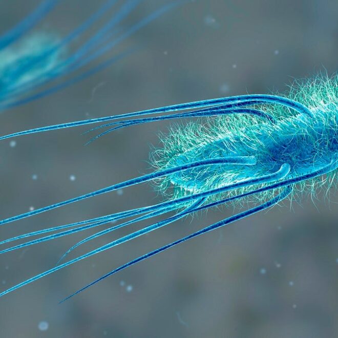 Scientists Say They’ve Created a New Form of Life More Perfect Than the One Nature Made