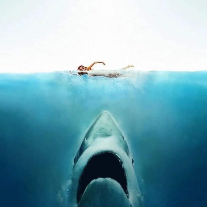 As Ocean Water Gets Worse, Sharks’ Teeth Start to Dissolve