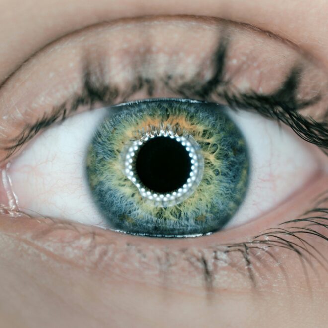 SoundHound is giving its AI the power of sight