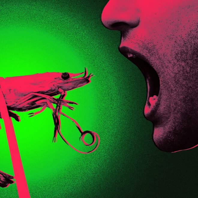 Rejoice! Trump’s FDA Says You Can Eat a Surprising Amount of Walmart’s Radioactive Shrimp Without Major Issues