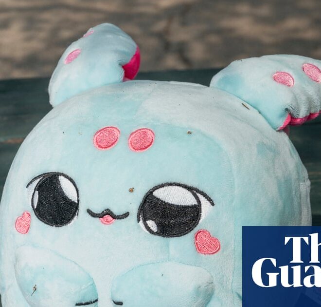 ‘I love you too!’ My family’s creepy, unsettling week with an AI toy | Artificial intelligence (AI)