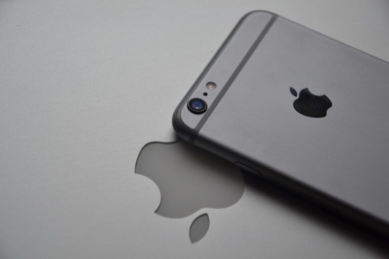 Delhi High Court Pauses Final CCI Action in Apple App Store Probe
