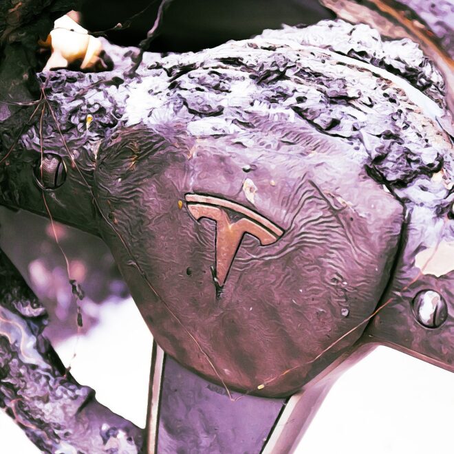 Man and Two Kids Burned Alive in Tesla Crash