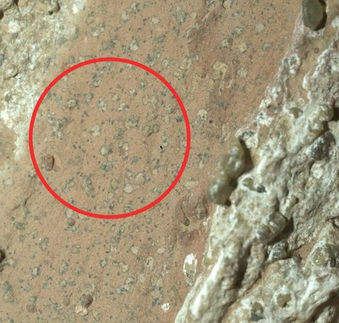 NASA Says Its Mars Rover Has Detected Possible Signs of Life on the Red Planet