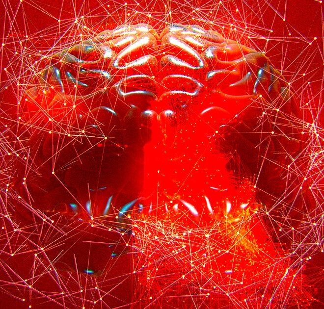 Scientists Intrigued by Pill That May Heal Brain After Stroke or Brain Injury