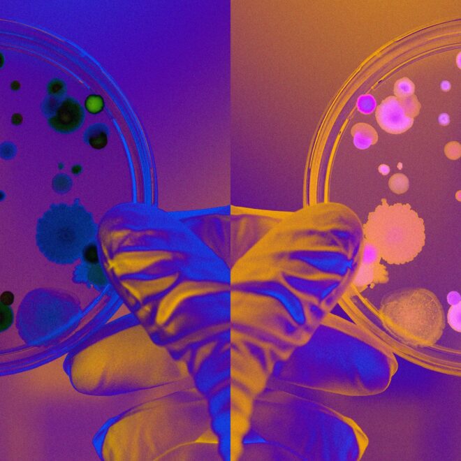 Scientists Debate Whether to Halt Type of Research That Could Destroy All Life on Earth