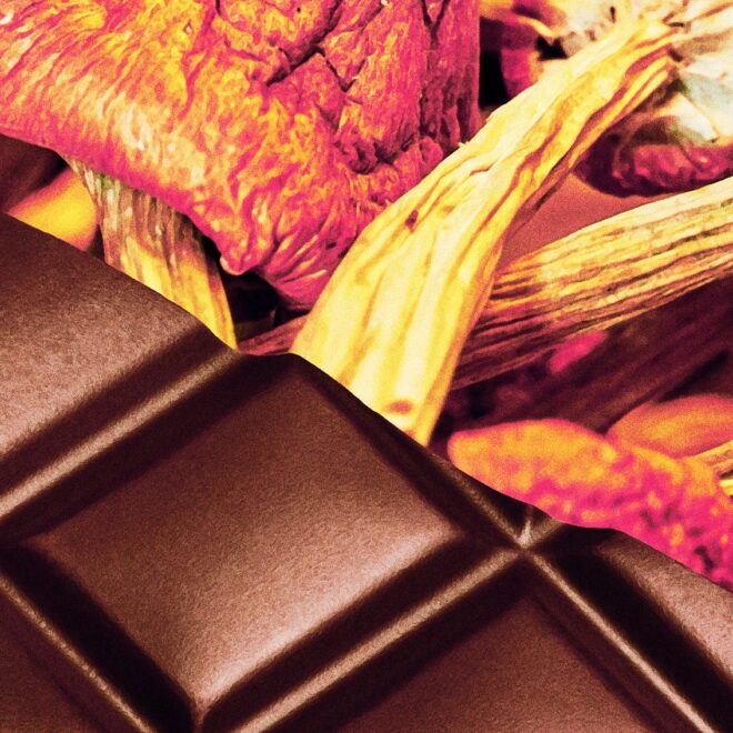 Scientists Tested What’s Really in “Psilocybin” Chocolate and Found Something Alarming