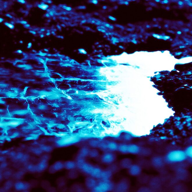 Scientists Find Evidence of Flowing Water on Giant Asteroid