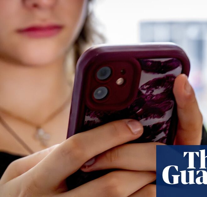 AI chatbots are hurting children, Australian education minister warns as anti-bullying plan announced | Artificial intelligence (AI)