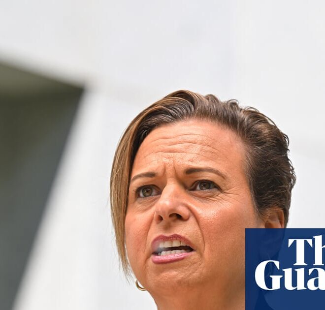 Labor rules out giving tech giants free rein to mine copyright content to train AI | Artificial intelligence (AI)