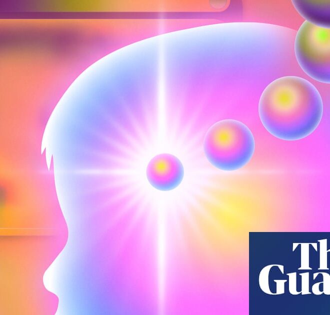 ‘My son genuinely believed it was real’: Parents are letting little kids play with AI. Are they wrong? | Artificial intelligence (AI)