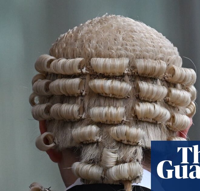 Australian federal court issues warning to lawyers over ‘unacceptable’ use of AI | Australian law