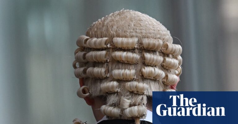 Australian federal court issues warning to lawyers over ‘unacceptable’ use of AI | Australian law