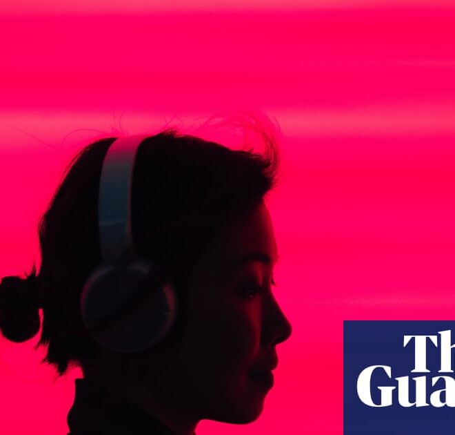 Once the AI bubble pops, we’ll all suffer. Could that be better than letting it grow unabated? | Artificial intelligence (AI)