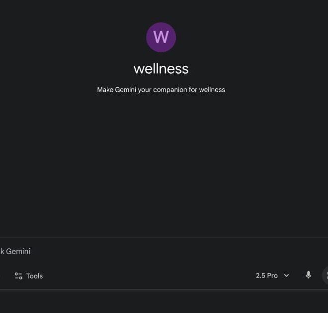 Google Gemini adds premade ‘wellness’ Gem, more