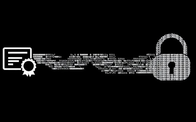 Microsoft Revokes 200 Fraudulent Certificates Used in Rhysida Ransomware Campaign