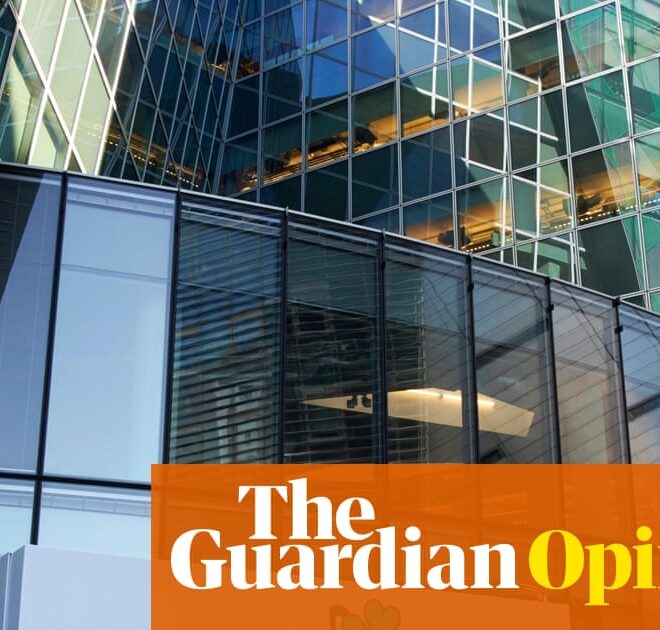 The EU has let US tech giants run riot. Diluting our data law will only entrench their power | Johnny Ryan and Georg Riekeles