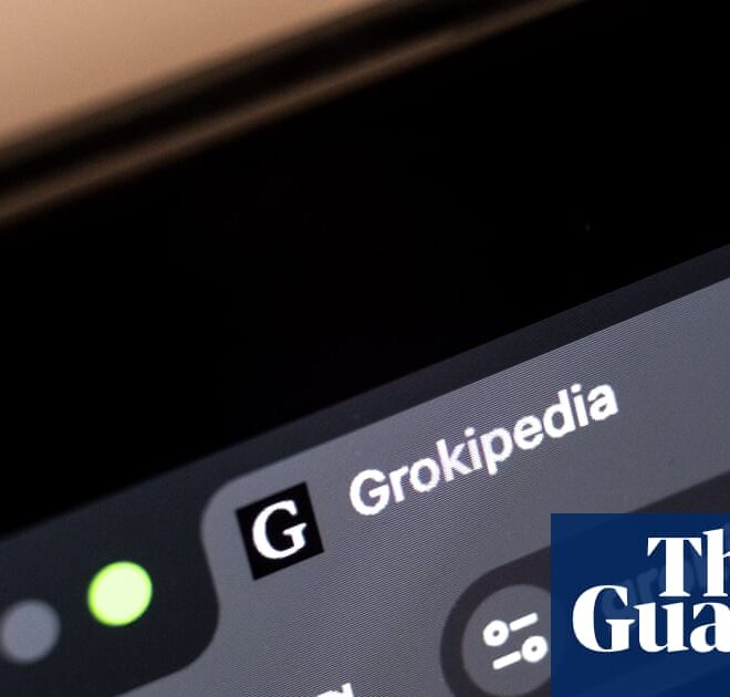 White nationalist talking points and racial pseudoscience: welcome to Elon Musk’s Grokipedia | Elon Musk
