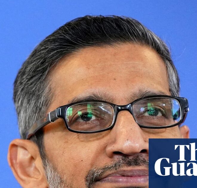 Don’t blindly trust everything AI tools say, warns Alphabet boss | Artificial intelligence (AI)