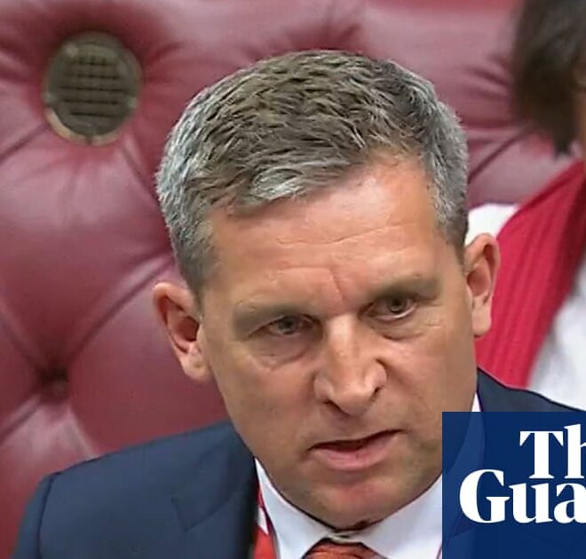 AI chatbots could help stop prisoner release errors, says justice minister | Prisons and probation