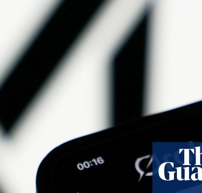 French authorities look into Holocaust denial posts from Elon Musk’s Grok AI | Elon Musk