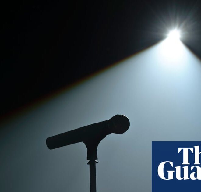 Can’t tech a joke: AI does not understand puns, study finds | Artificial intelligence (AI)