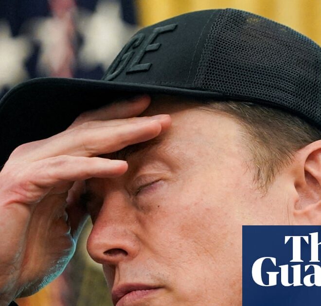 Elon Musk’s Grok AI briefly says Trump won 2020 presidential election | US elections 2020