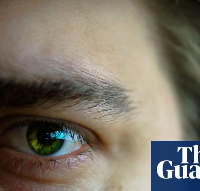 AI study gives insights into why super-recognisers excel at identifying faces | Science