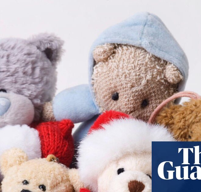 After a teddy bear talked about kink, AI watchdogs are warning parents against smart toys | Artificial intelligence (AI)